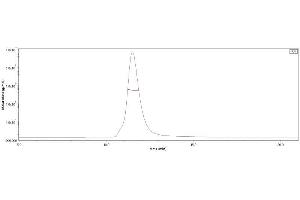 The purity of SARS-CoV-2 Spike Trimer, His Tag (B. (SARS-CoV-2 Spike Protein (B.1.1.529 - Omicron, Trimer) (His tag))