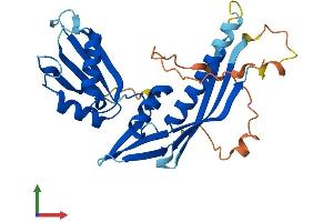 Protein Structure (PS) image for RAD52 Motif 1 (RDM1) (AA 1-284) protein (His tag) (ABIN7551260)