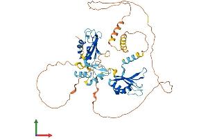 AlphaFold protein structure predicition of Human Recombinant CELF4 Protein, UniprotID Q9BZC1 (CELF4 Protein (AA 1-486) (His tag))