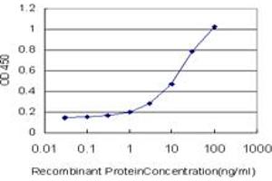 Detection limit for recombinant GST tagged OXSR1 is approximately 1ng/ml as a capture antibody. (OXSR1 antibody  (AA 351-450))