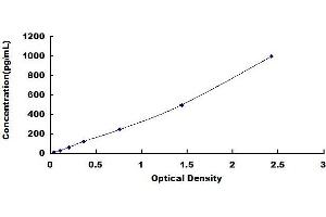 Typical standard curve (IL-2 ELISA Kit)