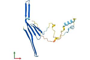 AlphaFold protein structure predicition of Human Recombinant TCAP Protein, UniprotID O15273 (TCAP Protein (AA 1-167) (His tag))