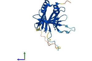 AlphaFold protein structure predicition of Human Recombinant DPCD Protein, UniprotID Q9BVM2 (DPCD Protein (AA 1-203) (His tag))