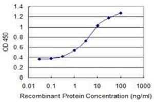 Detection limit for recombinant GST tagged ZSCAN18 is 0. (ZSCAN18 antibody  (AA 1-510))