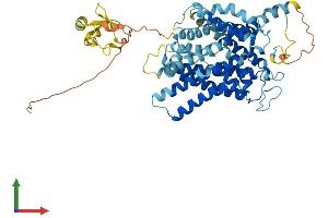 AlphaFold protein structure predicition of Human Recombinant SLC38A9 Protein, UniprotID Q8NBW4