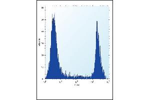HPRT1 Antibody (N-term) (ABIN652234 and ABIN2840981) flow cytometric analysis of 293 cells (right histogram) compared to a negative control cell (left histogram). (HPRT1 antibody  (N-Term))