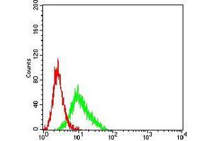 Flow cytometric analysis of Ramos cells using CD183 mouse mAb (green) and negative control (red). (CXCR3 antibody)