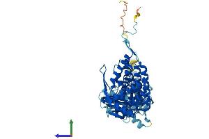 AlphaFold protein structure predicition of Human Recombinant CCT7 Protein, UniprotID Q99832