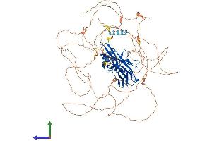 Protein Structure (PS) image for Nuclear Factor of Activated T-Cells, Cytoplasmic, Calcineurin-Dependent 2 (NFAT1) (AA 1-927) protein (His tag) (ABIN7563863)