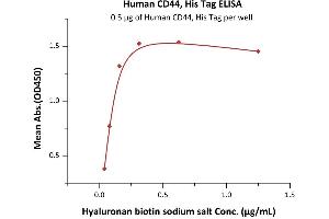 Immobilized Human CD44, His Tag (ABIN2180799,ABIN2180798) at 5 μg/mL (100 μL/well) can bind Hyaluronan biotin sodium salt with a linear range of 39-156 ng/mL (Routinely tested). (CD44 Protein (CD44) (AA 21-220) (His tag))