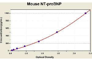 Diagramm of the ELISA kit to detect Mouse NT-proBNPwith the optical density on the x-axis and the concentration on the y-axis. (NT-ProBNP ELISA Kit)