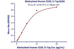 Immobilized Human B7-2, Fc Tag  with a linear range of 0. (CD28 Protein (CD28) (AA 19-152) (Fc Tag,AVI tag,Biotin))
