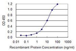 Detection limit for recombinant GST tagged MKRN1 is 0. (MKRN1 antibody  (AA 365-440))
