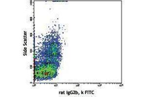 Flow Cytometry (FACS) image for anti-Integrin alpha M (ITGAM) antibody (FITC) (ABIN2661484) (CD11b antibody  (FITC))