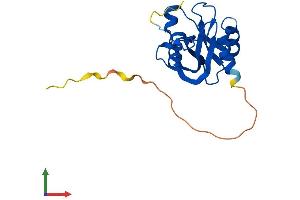 Protein Structure (PS) image for Nudix (Nucleoside Diphosphate Linked Moiety X)-Type Motif 4 (NUDT4) (AA 1-179) protein (His tag) (ABIN7559708)