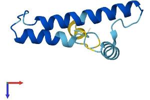 Coiled-Coil-Helix-Coiled-Coil-Helix Domain Containing 7 (CHCHD7) (AA 1-85) protein (His tag)
