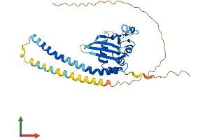 Protein Structure (PS) image for Testis Specific Protein, Y-Linked 2 (TSPY2) (AA 1-308) protein (His tag) (ABIN7544929)