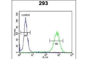 PCDH17 Antibody (C-term) (ABIN653792 and ABIN2843076) flow cytometric analysis of 293 cells (right histogram) compared to a negative control cell (left histogram). (PCDH17 antibody  (C-Term))