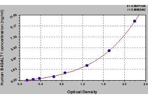 Typical Standard Curve (B4GALT1 ELISA Kit)