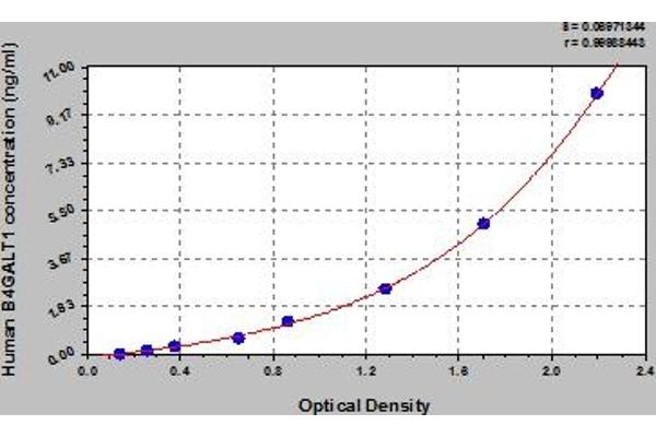 B4GALT1 ELISA Kit