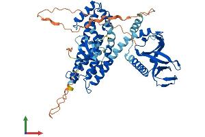 AlphaFold protein structure predicition of Human Recombinant ARHGEF9 Protein, UniprotID O43307 (Arhgef9 Protein (AA 1-516) (His tag))