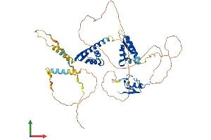 AlphaFold protein structure predicition of Human Recombinant MEX3A Protein, UniprotID A1L020 (MEX3A Protein (AA 1-520) (His tag))