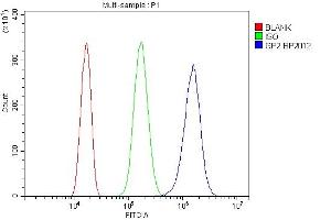 Flow Cytometry analysis of Neuro-2a cells using anti-Gp2 antibody (ABIN7601427). (GP2 antibody  (AA 35-497))
