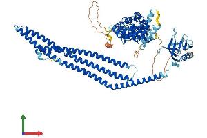AlphaFold protein structure predicition of Human Recombinant ACAP1 Protein, UniprotID Q15027 (ACAP1 Protein (AA 1-740) (His tag))