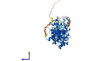 Protein Structure (PS) image for Primase, DNA, Polypeptide 2 (58kDa) (PRIM2) (AA 1-505) protein (His tag) (ABIN7563146)