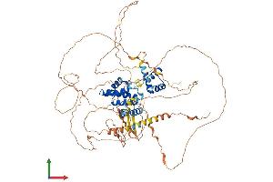 AlphaFold protein structure predicition of Human Recombinant SIX5 Protein, UniprotID Q8N196 (Six5 Protein (AA 1-739) (His tag))