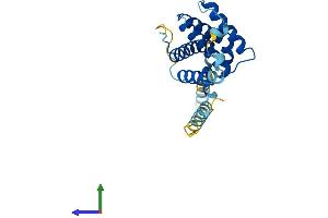 AlphaFold protein structure predicition of Mouse Recombinant Bok Protein, UniprotID O35425 (BOK Protein (AA 1-213) (His tag))