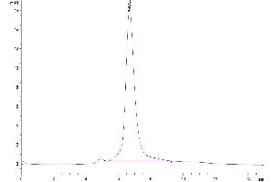 The purity of Human Her2 is greater than 95 % as determined by SEC-HPLC. (ErbB2/Her2 Protein (AA 23-652) (His-Avi Tag))