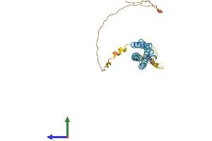AlphaFold protein structure predicition of Mouse Recombinant Ms4a15 Protein, UniprotID Q3UPL6