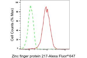 Flow cytometric analysis of Zinc finger protein 217 expression in HAP-1 cells using Zinc finger protein 217 antibody (ABIN7800894), 1:2,000). (Recombinant ZNF217 antibody)