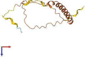 MYCN Opposite Strand/antisense RNA (MYCNOS) (AA 1-109) protein (His tag)
