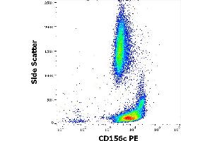 Flow cytometry surface staining pattern of human peripheral whole blood stained using anti-human CD156c (11G2) PE antibody (10 μL reagent / 100 μL of peripheral whole blood). (ADAM10 antibody  (PE))