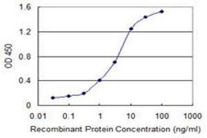 Detection limit for recombinant GST tagged SLC11A2 is 0. (SLC11A2 antibody  (AA 1-65))