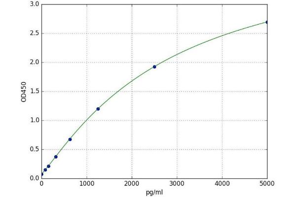 BCKDK ELISA Kit