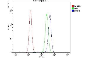 Flow Cytometry analysis of PC-3 cells using anti-MMP1 antibody (ABIN7599873). (MMP1 antibody  (AA 124-469))