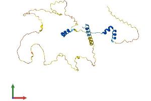 Protein Structure (PS) image for Vestigial Like 4 (VGLL4) (AA 1-290) protein (His tag) (ABIN7545099)