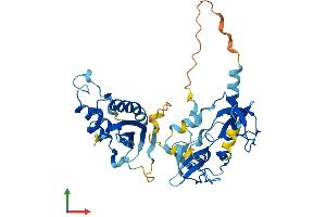 AlphaFold protein structure predicition of Mouse Recombinant Ncf1 Protein, UniprotID Q09014