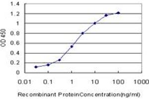 Detection limit for recombinant GST tagged TRIM16 is approximately 0. (TRIM16 antibody  (AA 165-273))