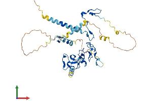 Protein Structure (PS) image for D4, Zinc and Double PHD Fingers, Family 3 (DPF3) (AA 1-378) protein (His tag) (ABIN7553738)