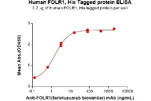 ELISA image for Folate Receptor 1 (Adult) (FOLR1) (AA 25-234) protein (His tag) (ABIN7092684)