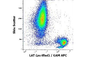 Flow cytometry intracellular staining pattern of human peripheral whole blood using anti-LAT (LAT-01) purified antibody (concentration in sample 1 μg/mL, GAM APC). (LAT antibody  (Cytoplasmic Domain))