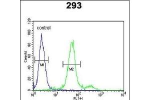 COL18A1 Antibody (N-term) (ABIN652798 and ABIN2842523) flow cytometric analysis of 293 cells (right histogram) compared to a negative control cell (left histogram). (COL18A1 antibody  (N-Term))