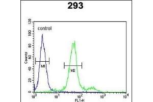 COL18A1 Antibody (N-term) (ABIN652798 and ABIN2842523) flow cytometric analysis of 293 cells (right histogram) compared to a negative control cell (left histogram). (COL18A1 antibody  (N-Term))