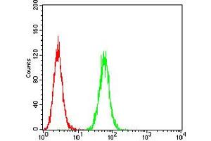 Flow cytometric analysis of Hela cells using P2RY8 mouse mAb (green) and negative control (red).