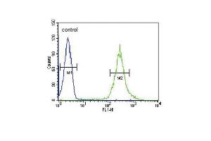 ST8SIA4 Antibody (Center) (ABIN653728 and ABIN2843035) flow cytometric analysis of HL-60 cells (right histogram) compared to a negative control cell (left histogram). (ST8SIA4 antibody  (AA 186-214))