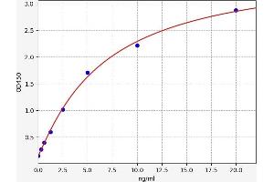 Typical standard curve (Caspase 7 ELISA Kit)